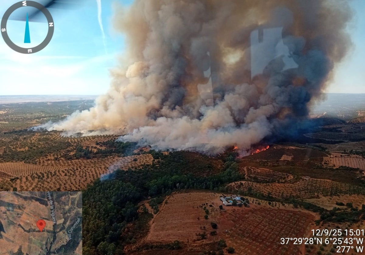Vista del incendio declarado este viernes en Paterna del Campo