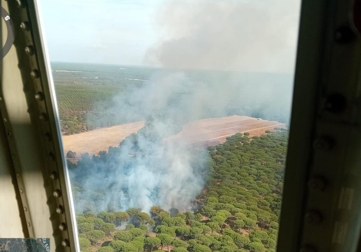 Imagen del incendio declarado este miércoles en Almonte