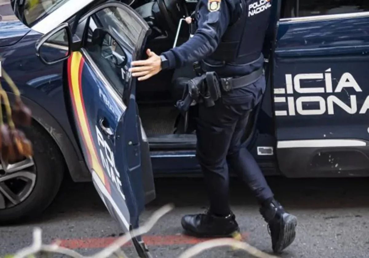 Agentes de la Policía Nacional detuvieron a un varón que acababa de robar en el interior de un vehículo