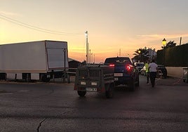 Muere una llama en la Feria de Cartaya