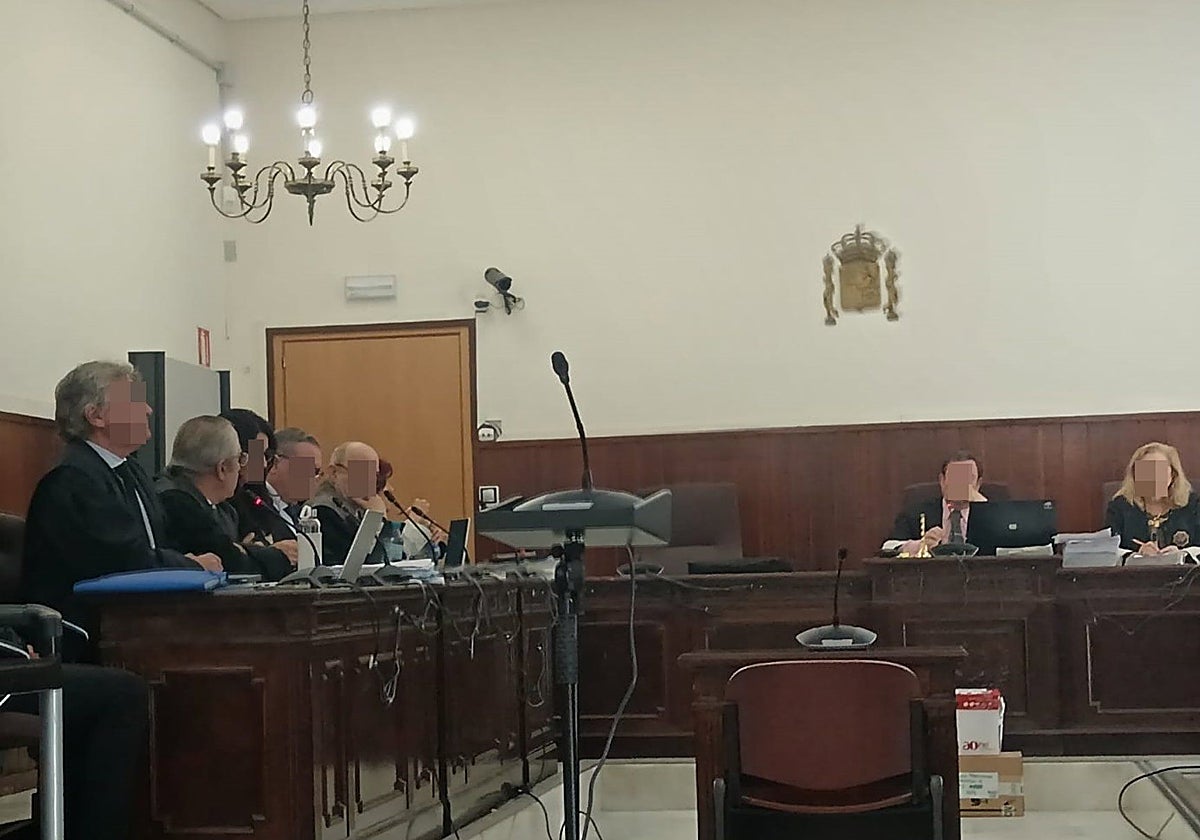 Imagen de la primera sesión del juicio por el atropello mortal de Alicia Rodríguez en Marmolejo