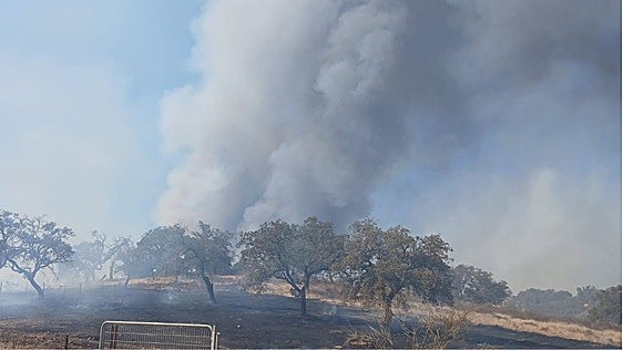 Preocupa un incendio forestal en Santa Bárbara de Casa y el Infoca solicita ayuda de medios de Portugal