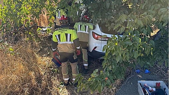 Los bomberos observando el vehículo que se ha estrellado contra un árbol en Manzanilla.