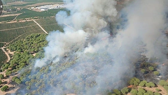 El Infoca sofoca el tercer incendio del mes en Cartaya