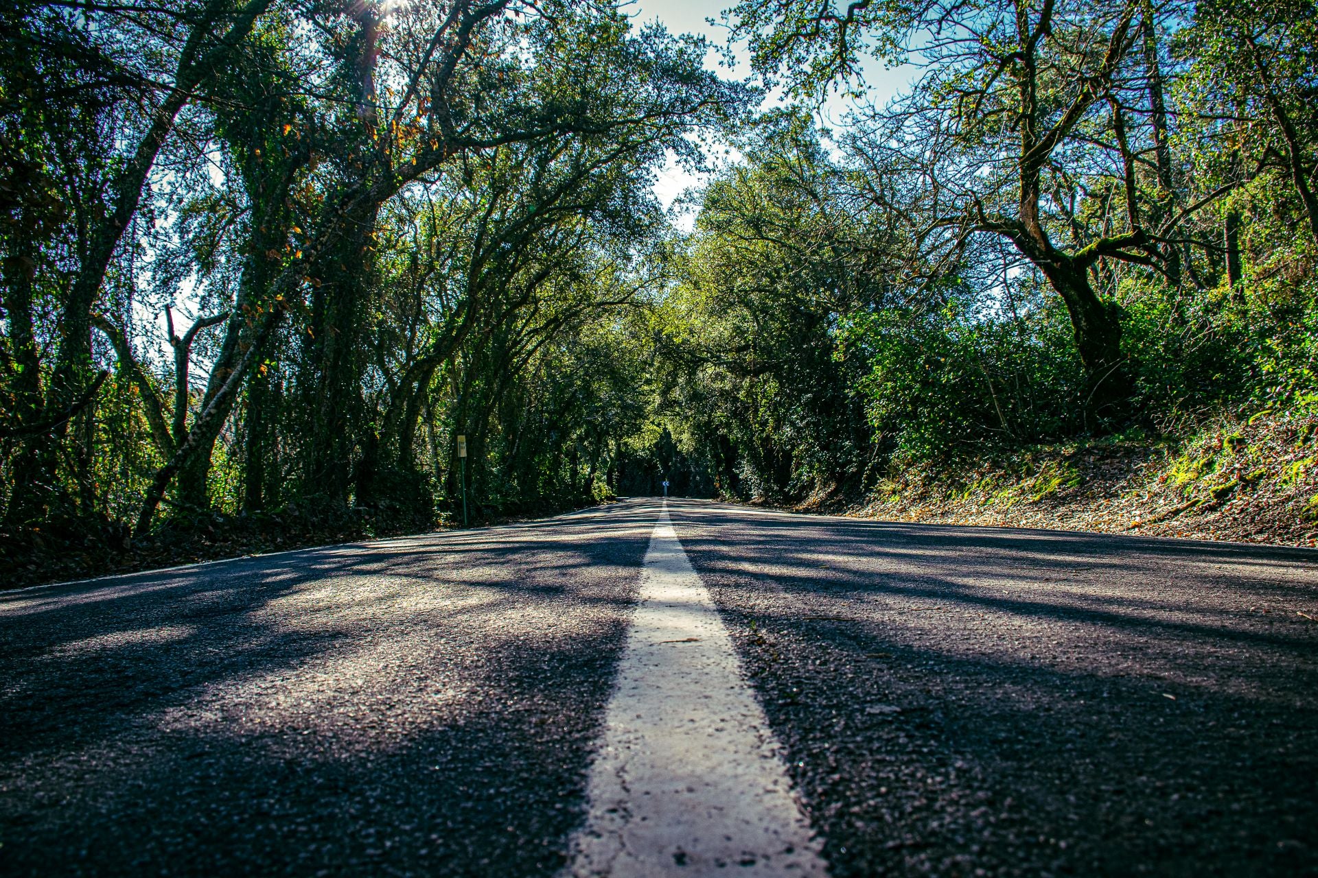 Carretera entre Cortegana y Almonaster la Real