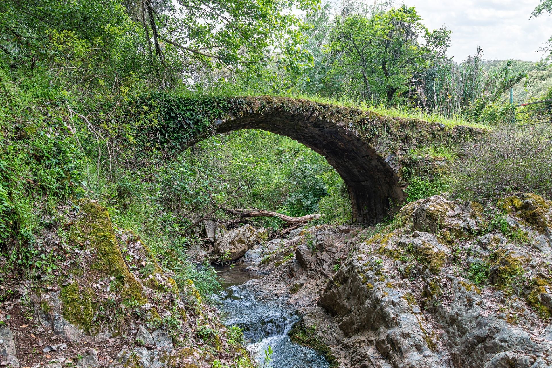 Puente medieval de La Nava