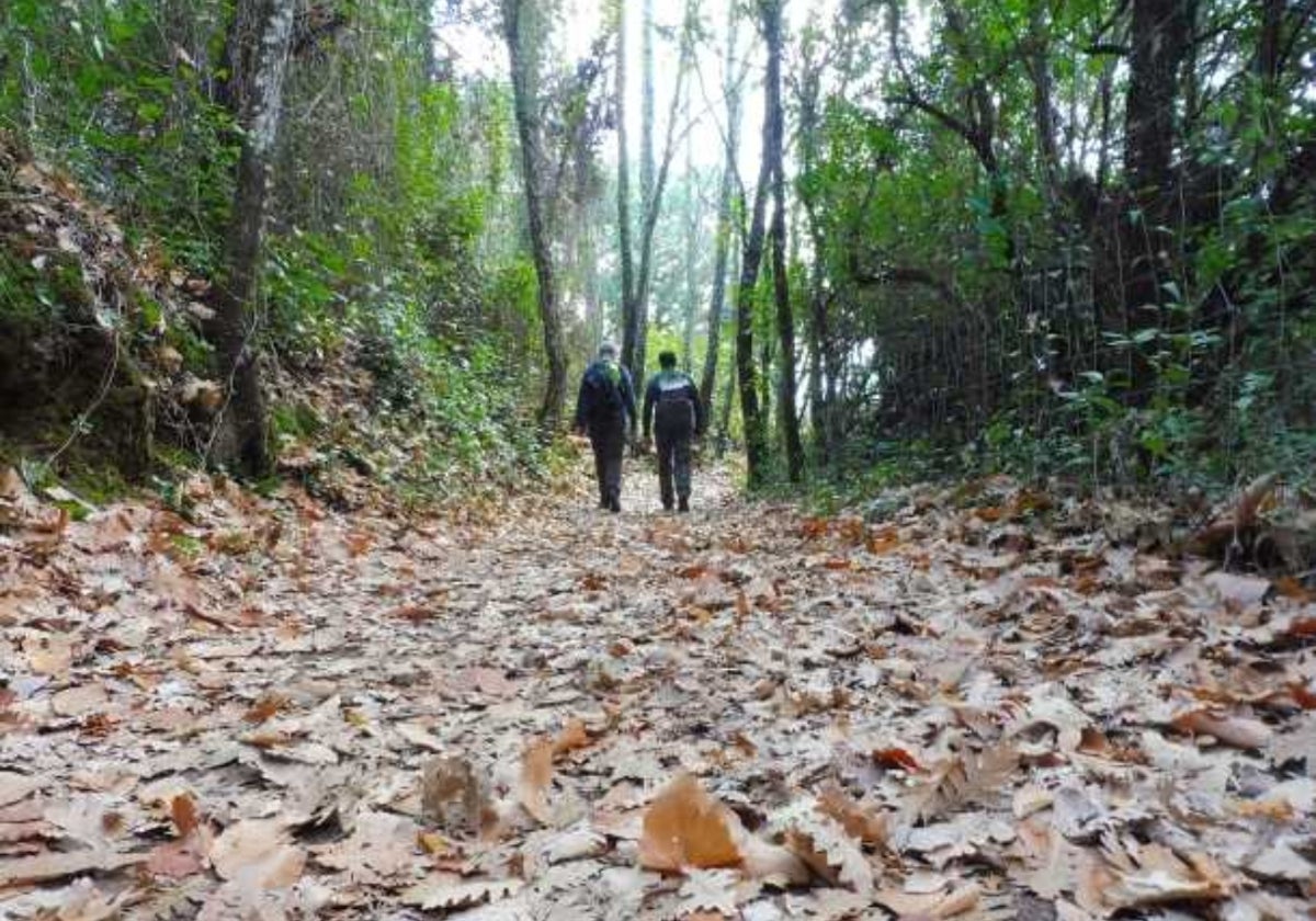 Dos senderistas atraviesan uno de los caminos de la ruta el Bosque Encantado, en Fuenteheridos