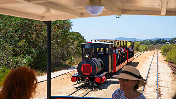 El tren de madera que te lleva al paraíso: solo vale 2 euros y está a un paso de Huelva