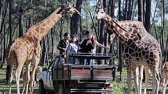 La 'pequeña África' de la península está al lado de Huelva y casi nadie la conoce: puedes hacer un safari y ver más de 600 animales