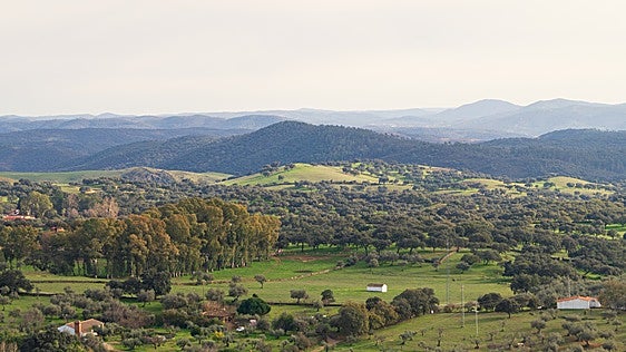 El 'Amazonas español' está en Huelva y sigue siendo un lugar desconocido para muchos: «Parece un lugar de cuento»