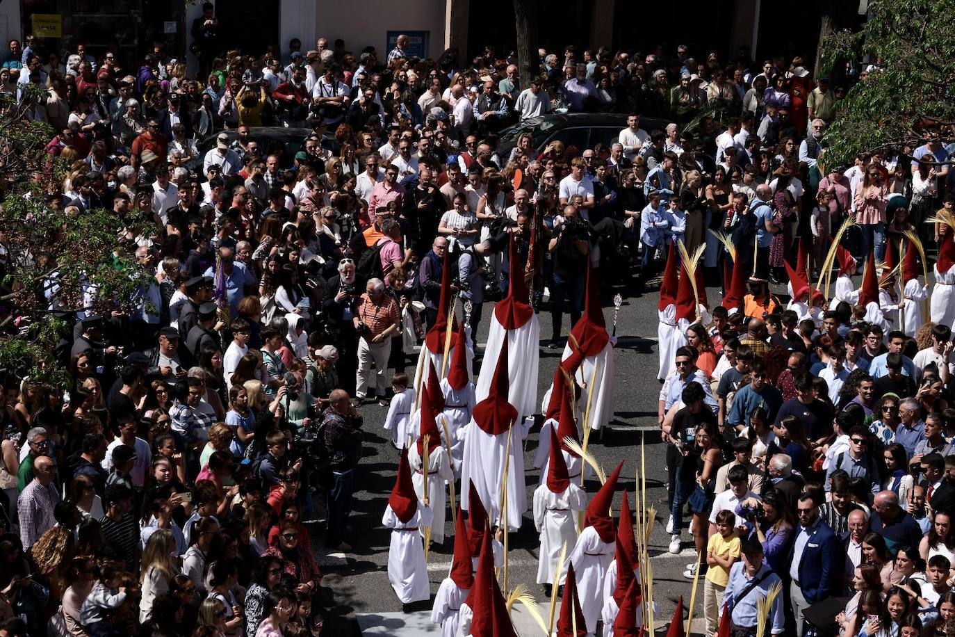 Fotos: la Borriquita ya luce en procesión en este Domingo de Ramos