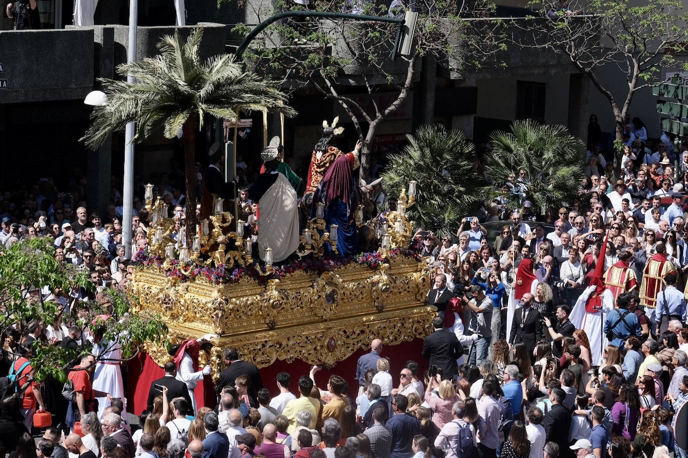 Fotos: la Borriquita ya luce en procesión en este Domingo de Ramos