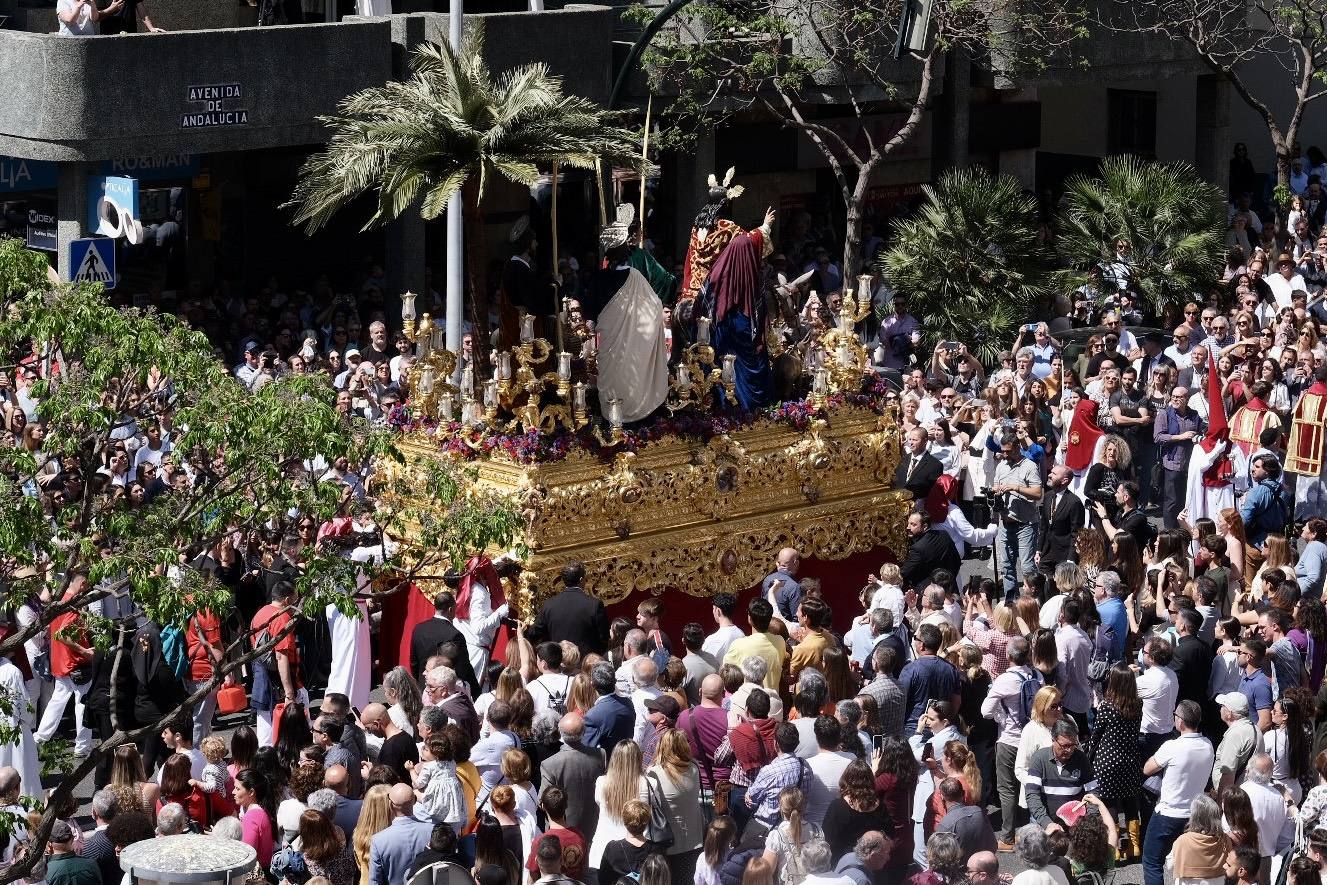 Fotos: la Borriquita ya luce en procesión en este Domingo de Ramos