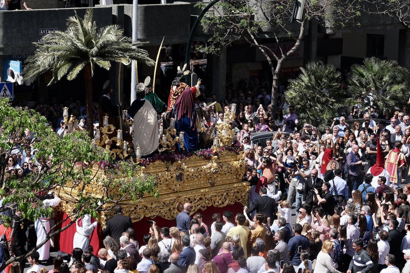 Fotos: la Borriquita ya luce en procesión en este Domingo de Ramos