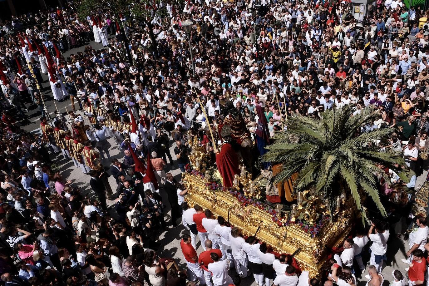 Fotos: la Borriquita ya luce en procesión en este Domingo de Ramos