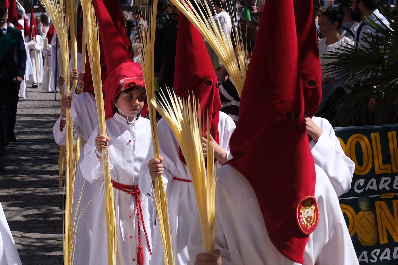 Fotos: la Borriquita ya luce en procesión en este Domingo de Ramos