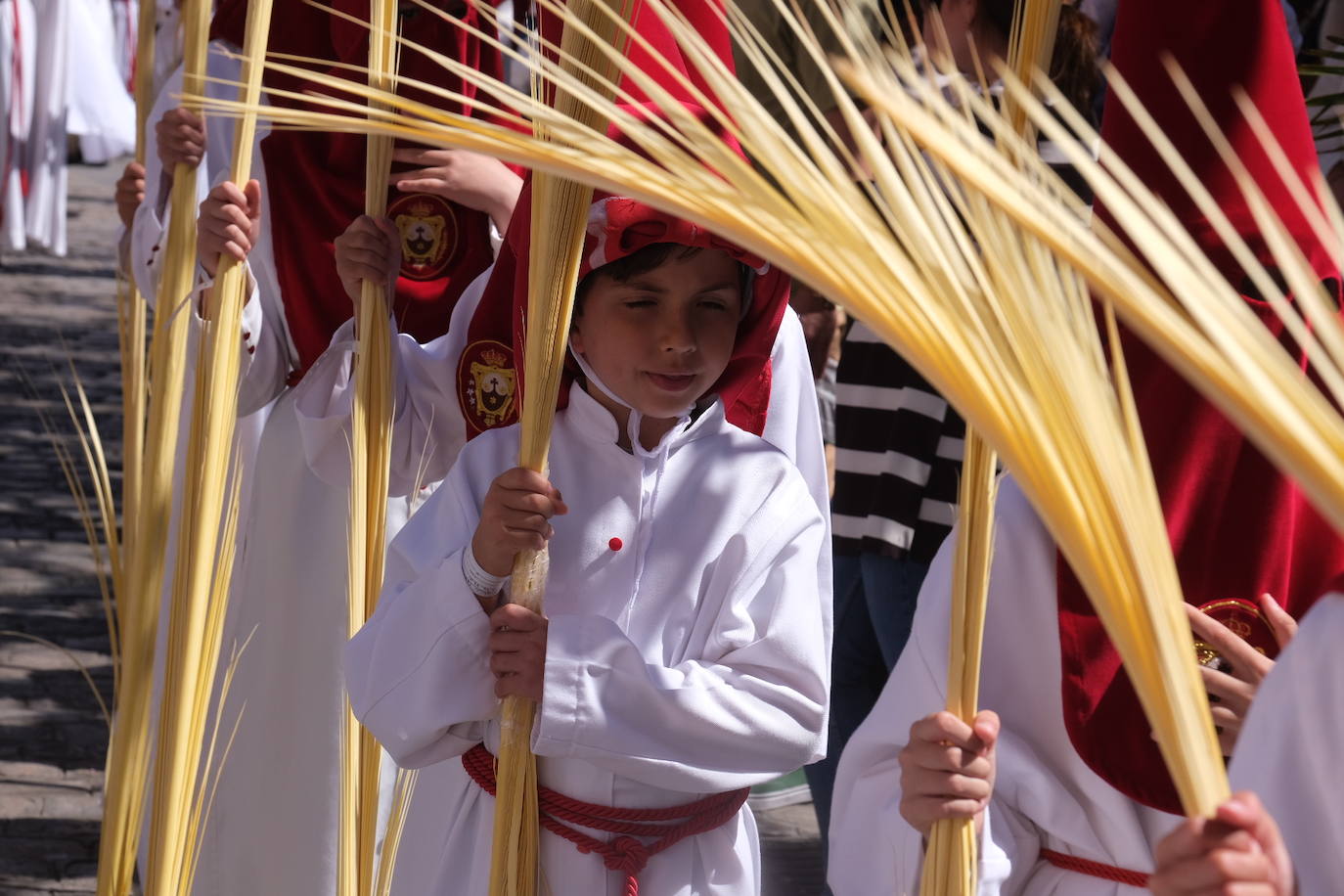 Fotos: la Borriquita ya luce en procesión en este Domingo de Ramos