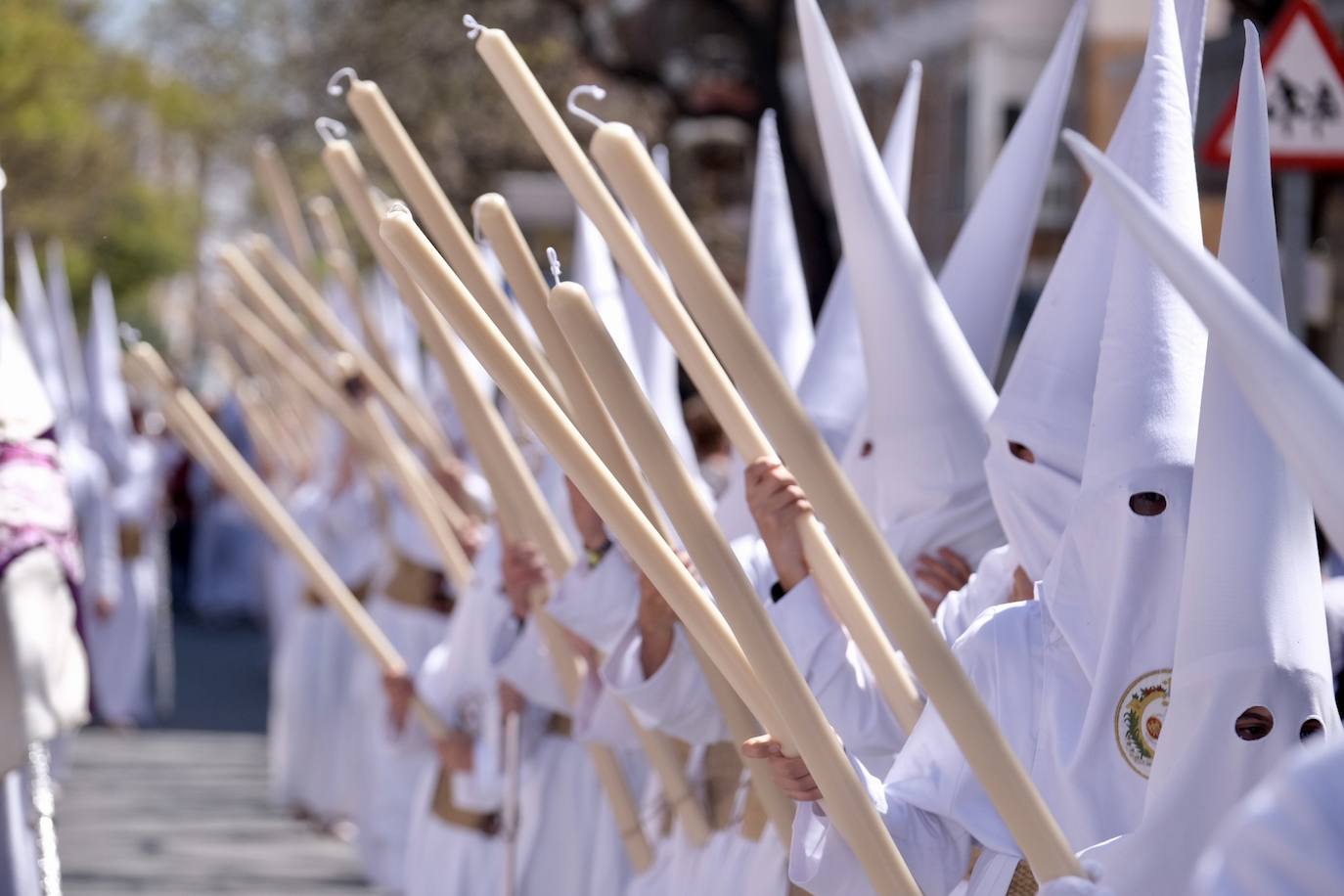 Fotos: el Despojado de Cádiz en su Domingo de Ramos de la Semana Santa 2023