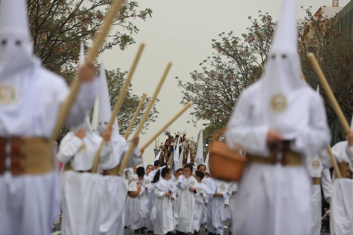 Fotos: El Despojado en el Domingo de Ramos en la Semana Santa de Cádiz 2024