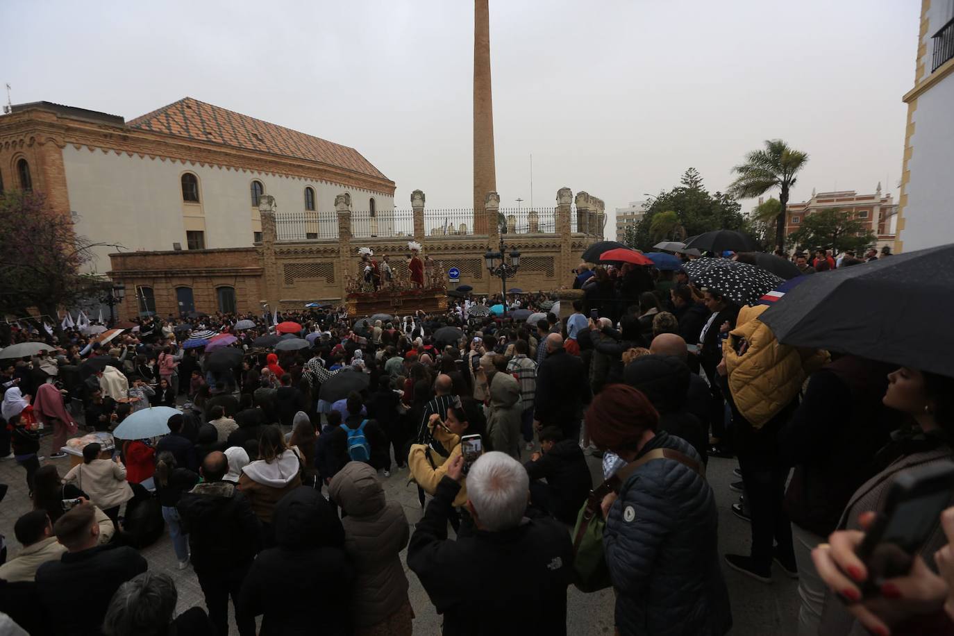 Fotos: El Despojado en el Domingo de Ramos en la Semana Santa de Cádiz 2024