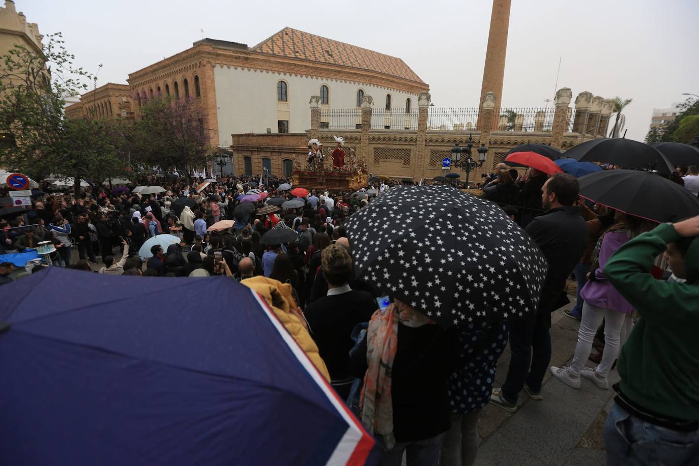 Fotos: El Despojado en el Domingo de Ramos en la Semana Santa de Cádiz 2024