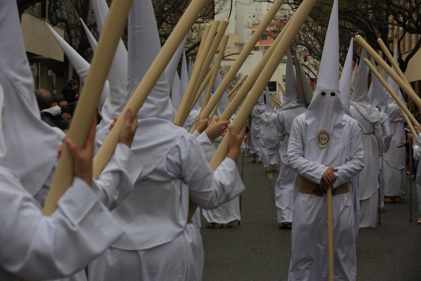 Fotos: El Despojado en el Domingo de Ramos en la Semana Santa de Cádiz 2024