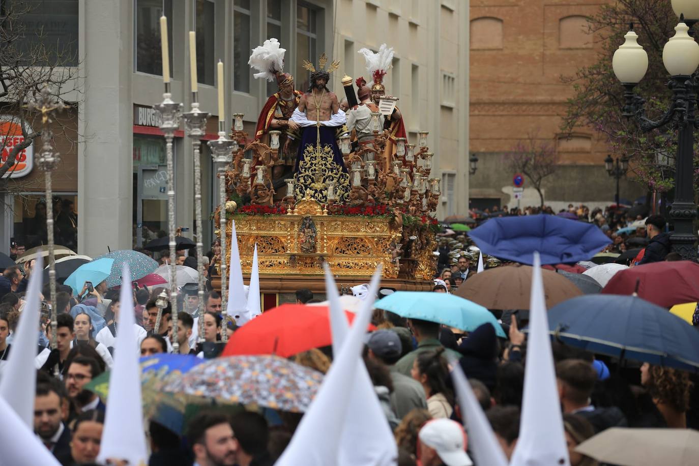 Fotos: El Despojado en el Domingo de Ramos en la Semana Santa de Cádiz 2024