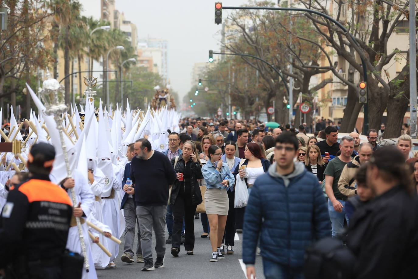 Fotos: El Despojado en el Domingo de Ramos en la Semana Santa de Cádiz 2024