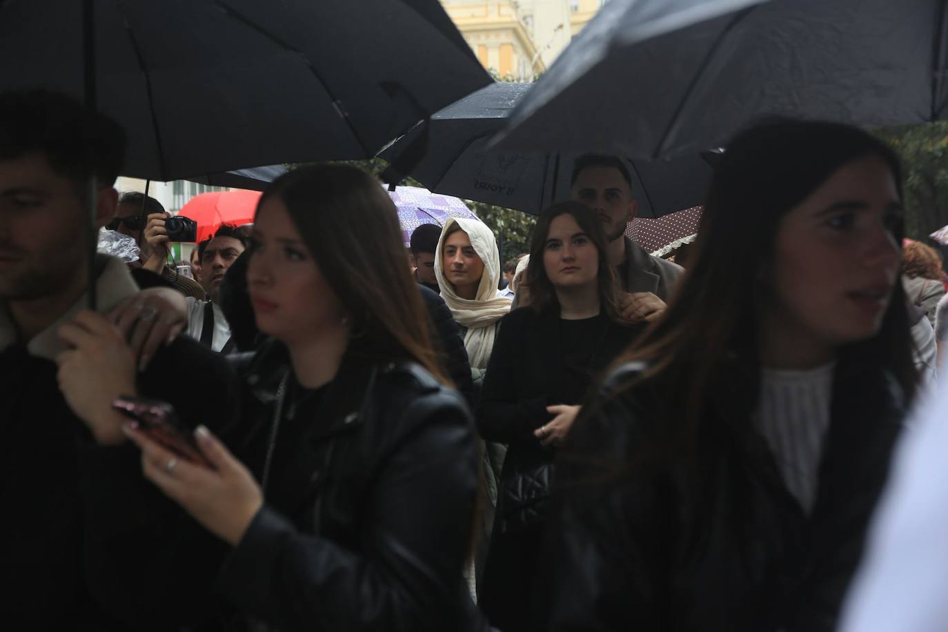 Fotos: El Despojado en el Domingo de Ramos en la Semana Santa de Cádiz 2024