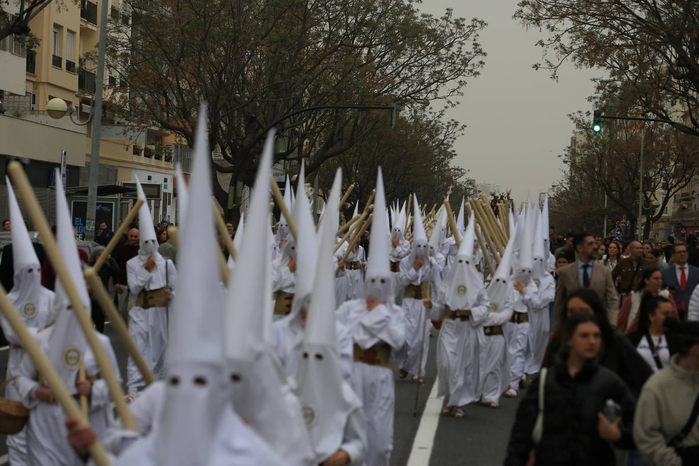 Fotos: El Despojado en el Domingo de Ramos en la Semana Santa de Cádiz 2024