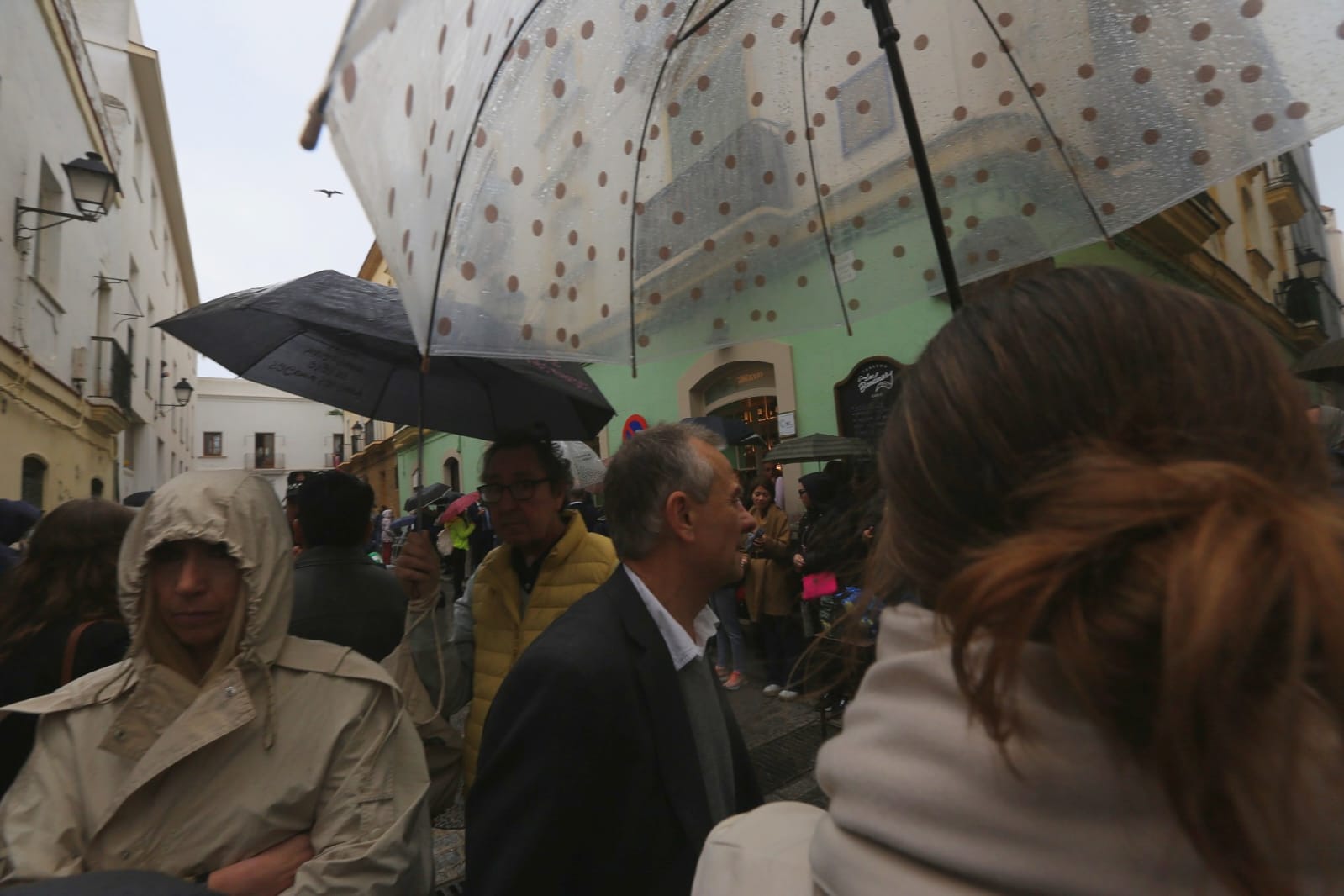 Fotos: La Palma en el Lunes Santo de la Semana Santa de Cádiz 2024