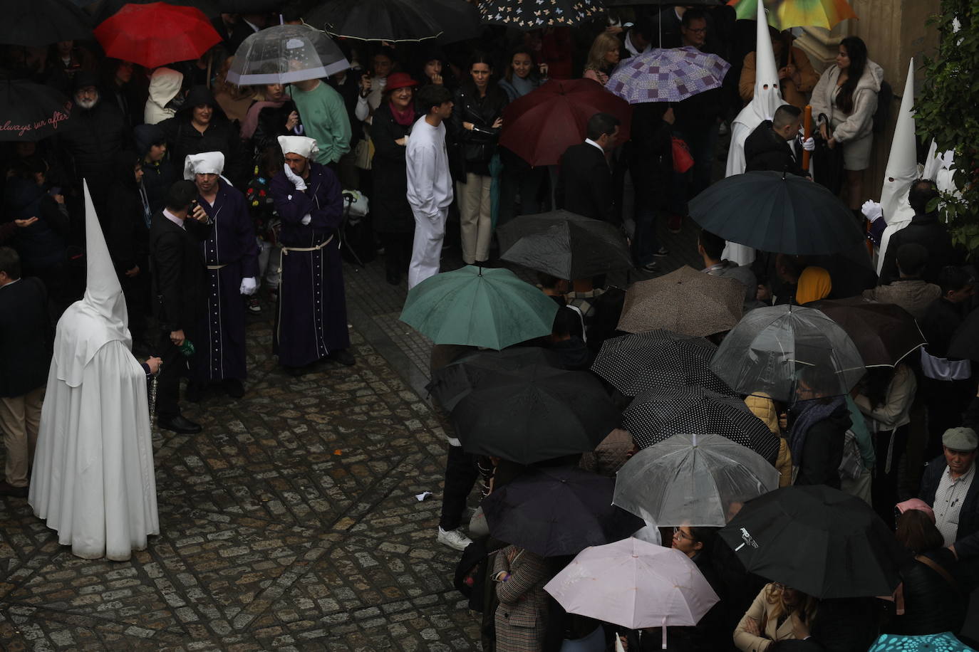 El Nazareno del Amor en el Lunes Santo en la Semana Santa de Cádiz 2024