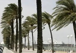 Semana de fuerte viento de levante en Cádiz: ¿desde cuándo y hasta cuándo?