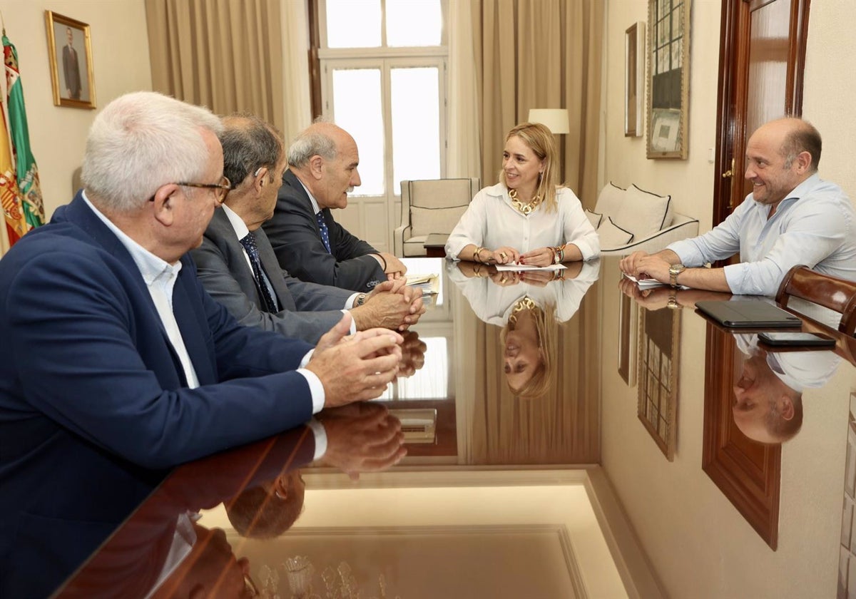 La presidenta de la Diputación, Almudena Martínez, con representantes del Consejo de Hermandades de Cádiz.