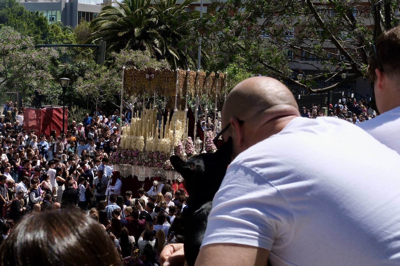Las imágenes de la Borriquita en la Semana Santa de Cádiz 2025