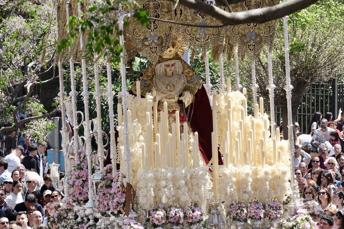 Las imágenes de la Borriquita en la Semana Santa de Cádiz 2025