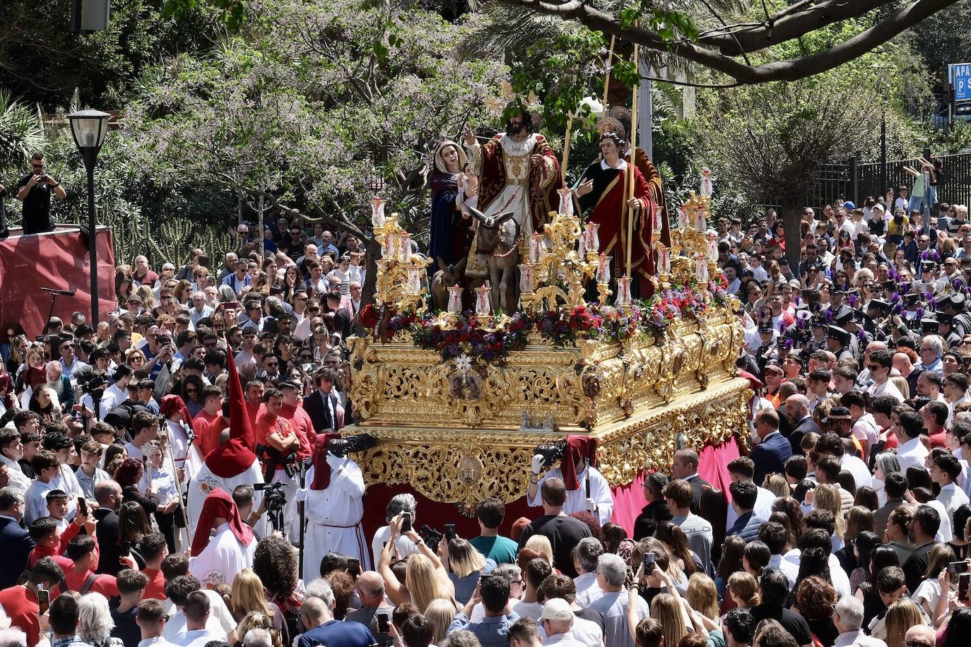 Las imágenes de la Borriquita en la Semana Santa de Cádiz 2025