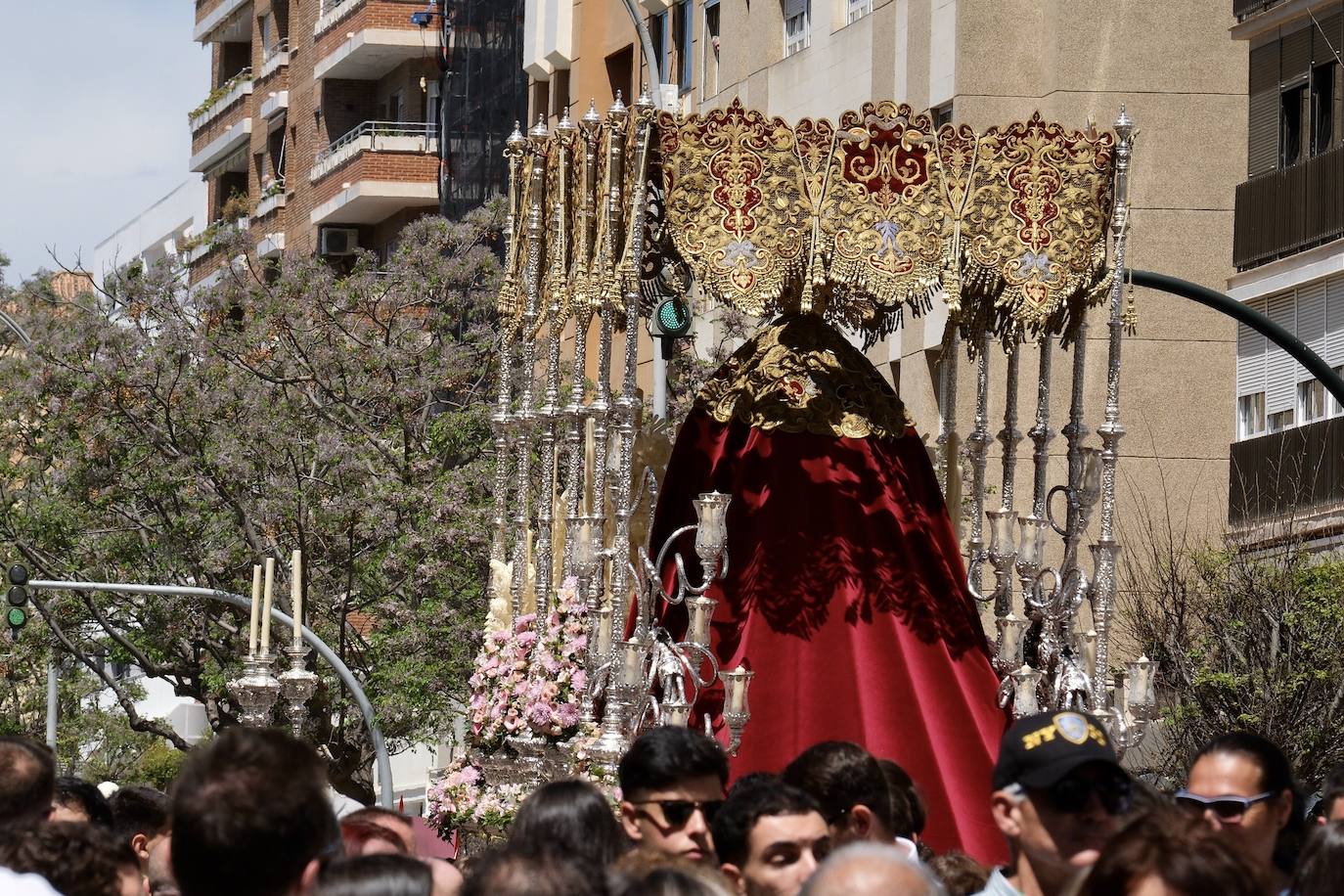 Las imágenes de la Borriquita en la Semana Santa de Cádiz 2025