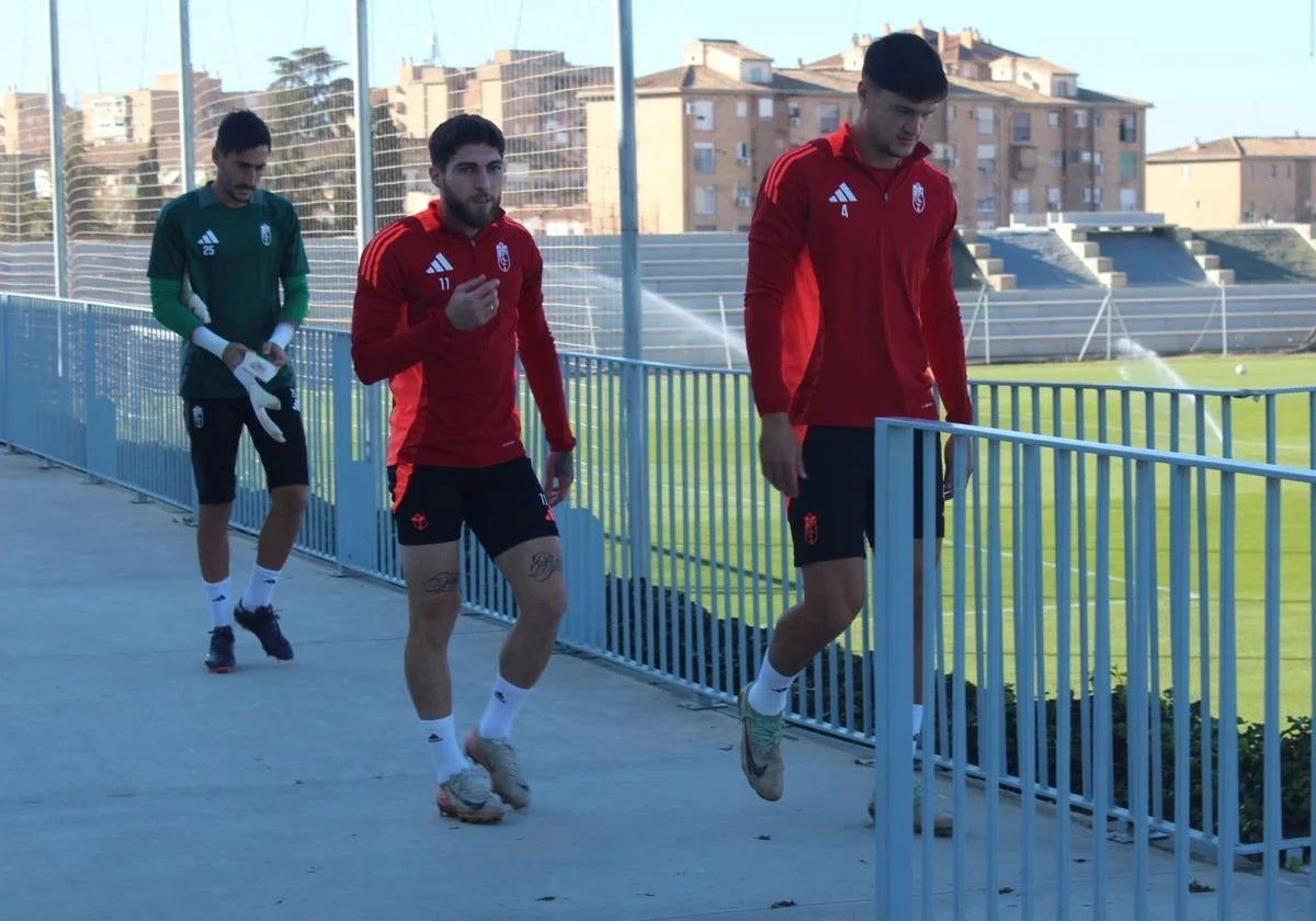 El georgiano Tsitaishvili jugará en Cádiz.