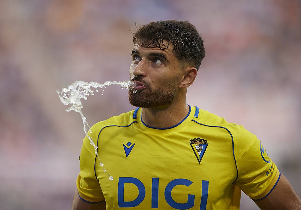 García Pascual, durante el partido en La Rosaleda.