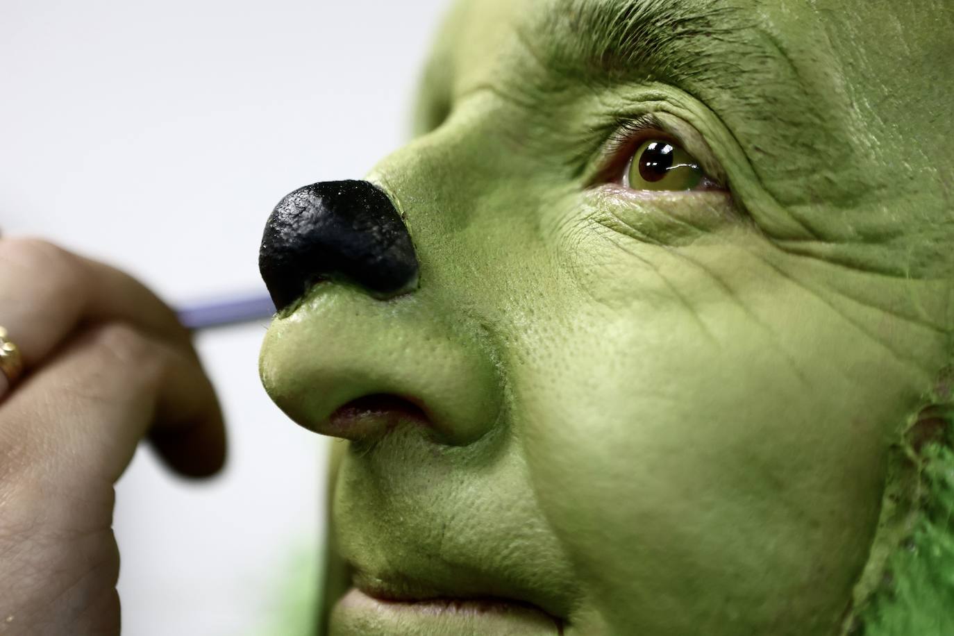 Fotos: La chirigota del Sheriff se transforma en &#039;El grinch de Cai&#039;