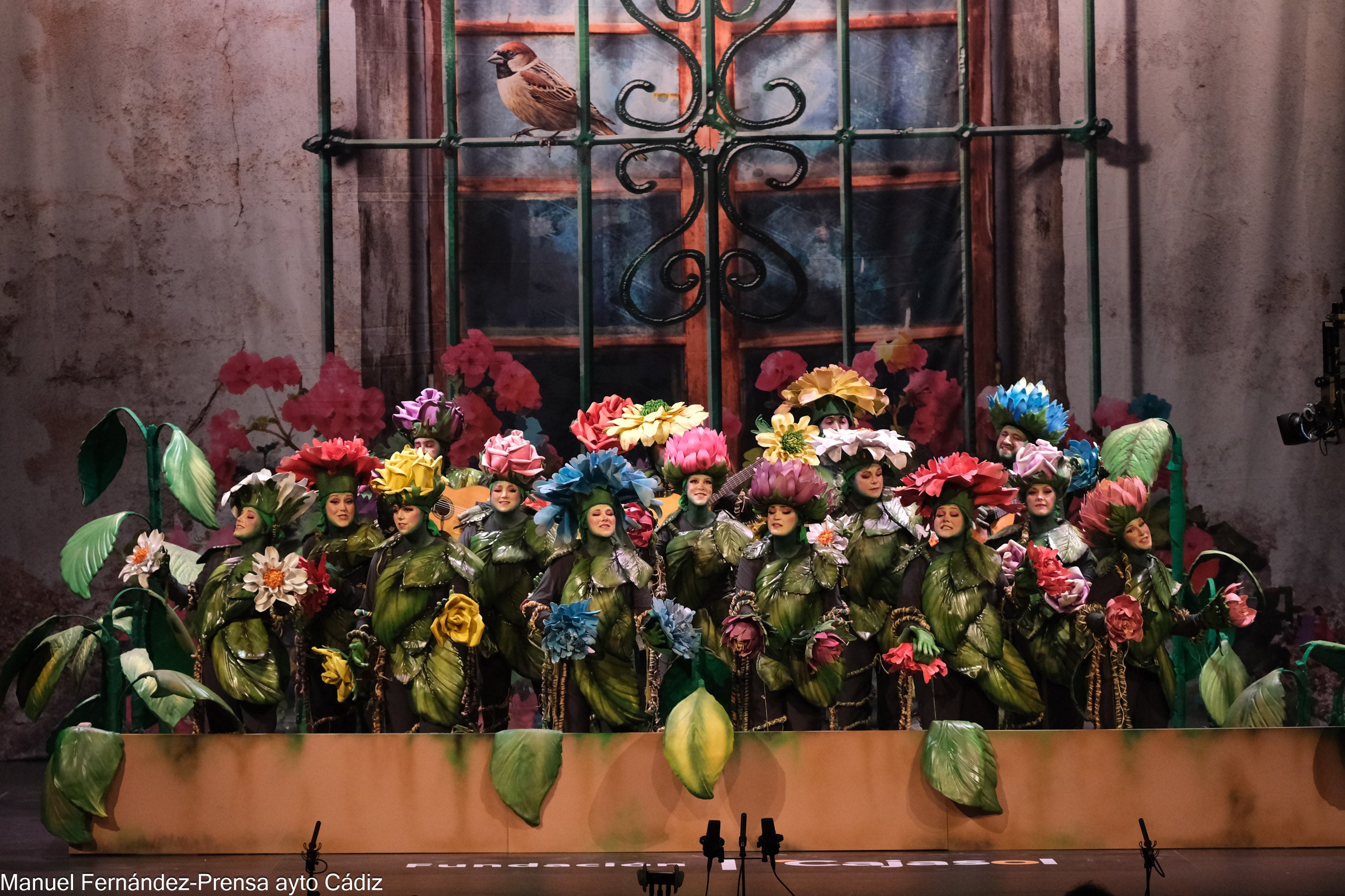 Fotos: Comparsa &#039;La Consentida&#039; en preliminares