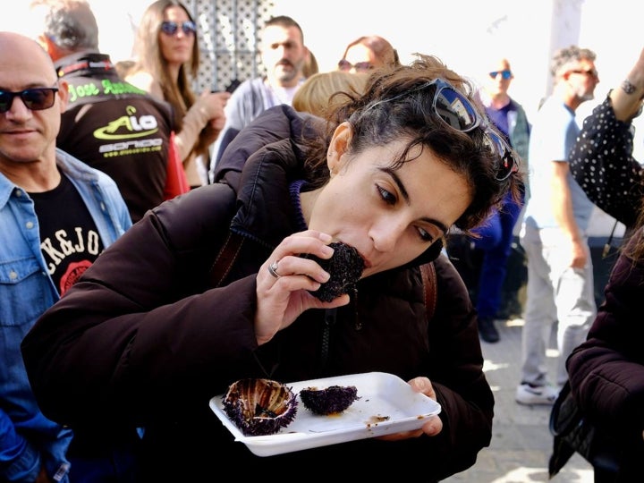 Fotos: Gran Erizada para abrir boca