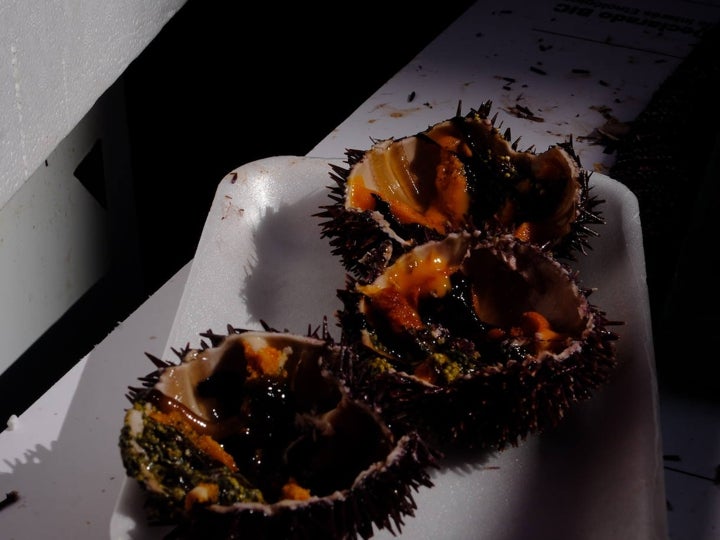 Fotos: Gran Erizada para abrir boca