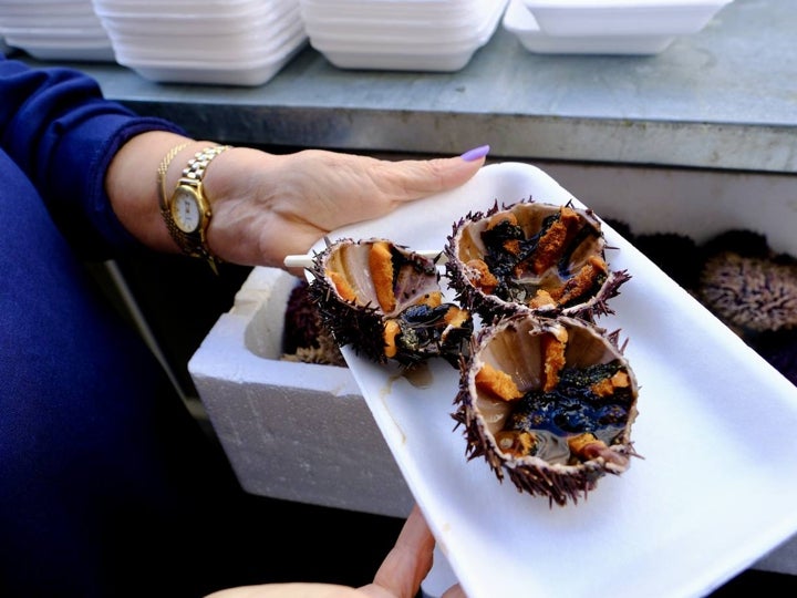 Fotos: Gran Erizada para abrir boca