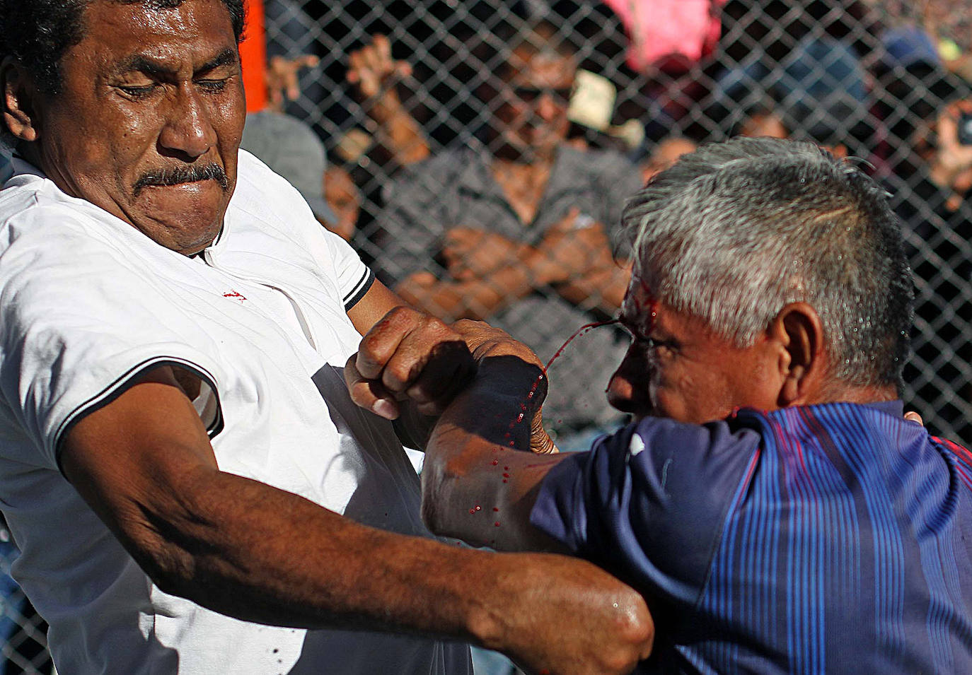 Fotos: el Carnaval en el mundo