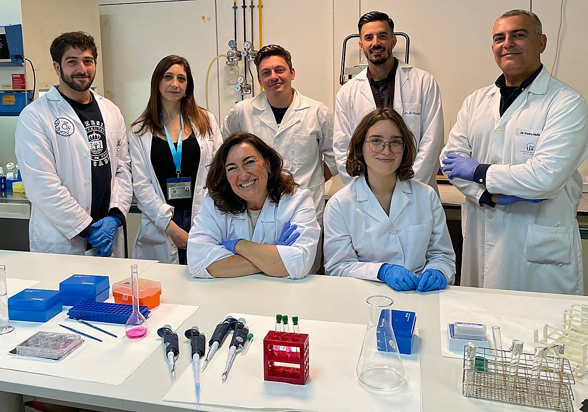 Investigadores de la UCA y la US identifican una nueva aplicación de un ...