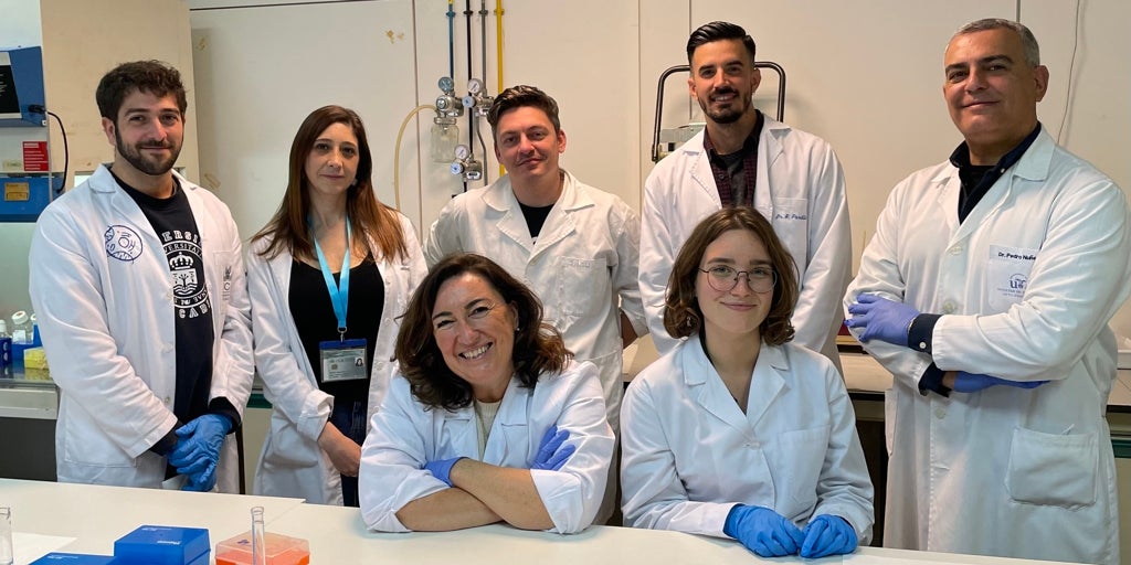 Investigadores de la UCA y la US identifican una nueva aplicación de un ...