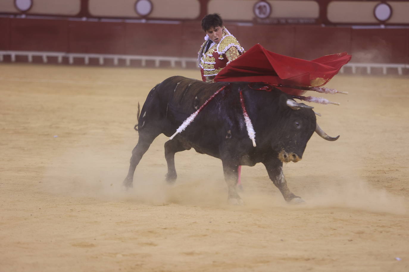 Fotos: Roca Rey sufre una cornada en la tarde de toros de El Puerto