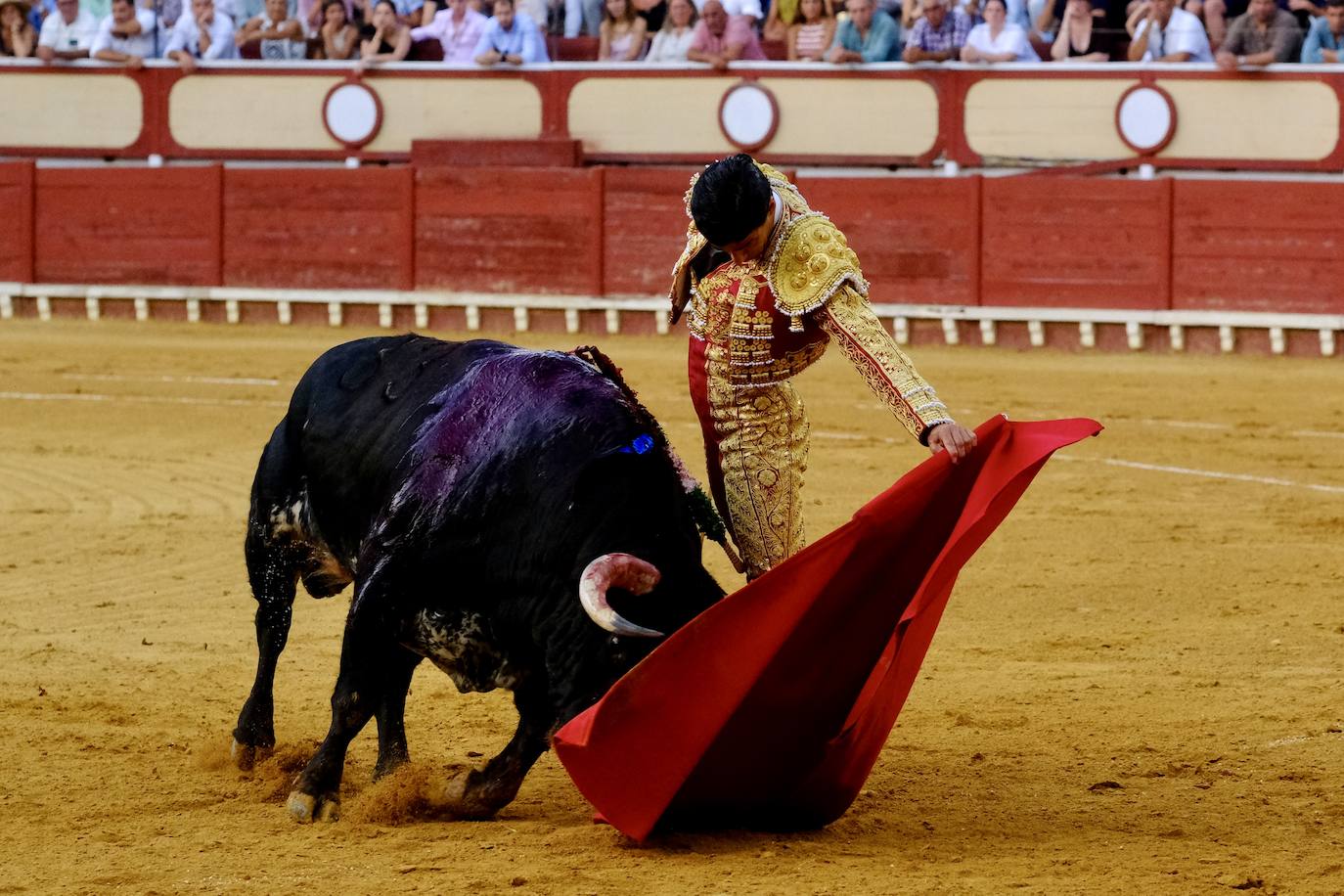 Rotundo triunfo de Manzanares que sale a hombros junto a Aguado en la última corrida del verano en El Puerto